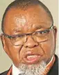  ?? ?? Gwede Mantashe