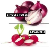  ??  ?? CIPOLLE ROSSE RAVANELLI