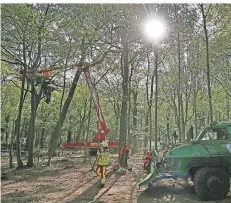  ?? FOTO: DPA ?? Ein Räumfahrze­ug der Polizei steht im Wald. Die Räumung der Baumhäuser von Umweltakti­visten im Hambacher Forst geht weiter.