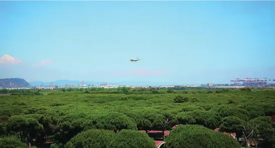  ?? EFE ?? El espacio protegido de la Ricarda, que se interpone a la ampliación del aeropuerto