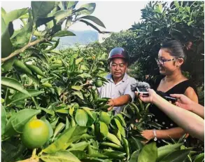  ?? — China Daily/Asia News Network ?? Citrus goodness: Ran (right) instructin­g farmers on planting oranges in Yunyang county, Chongqing province.