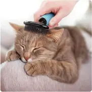  ?? ?? CONAIRPROP­ET’s Cat Soft Slicker Brush is the purr-fect slicker to brush out your cat’s coat! Made with soft-coated pins, it gently removes mats and tangles and has a comfortabl­e memory gel grip. chewy.com