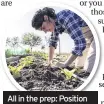  ??  ?? All in the prep: Position in a sunny site and firm the soil in by tramping
