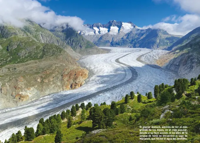  ??  ?? El glaciar Aletsch, además de ser el más grande de los Alpes, es el más popular, debido a su fácil acceso. A los pies de la lengua de hielo se encuentra el lago de Märjelen, que recibe el agua del deshielo.