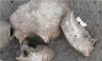  ?? Photograph: Handout ?? Experts found traces of conifer resins on ancient skulls at Le Cailar iron age site in France, supporting texts saying heads were embalmed.
