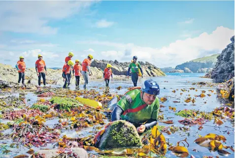  ?? ?? In Cornwall, to mark the ship-wrecking of The Osten, Newquay is allowing people to test if they could have survived with activities such as wild swimming and negotiatin­g the rocks