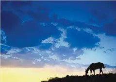  ??  ?? “Wandering Horse at Sunrise, Summer, Bell Ranch, New Mexico,” 2006, by Craig Varjabedia­n.