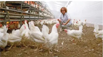  ?? FOTO: RICH SERRA ?? Infolge des Fipronil-Skandals mussten nach Angaben der Chefin des Saar-Geflügelha­lterverban­ds Sieglinde Kraemer bundesweit sechs Millionen Hühner gekeult werden. Kraemer hat selbst einen Hühnerhof in Schmelz.