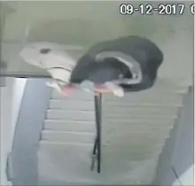  ??  ?? A video surveillan­ce camera image show Deep Bista punching and kicking his dog in the stairwell of a Peterborou­gh apartment building in 2017.