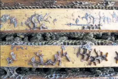  ?? CARRIE ANTLFINGER / AP ?? Honey bees work inside a hive near Iola, Wis., in September 2020.