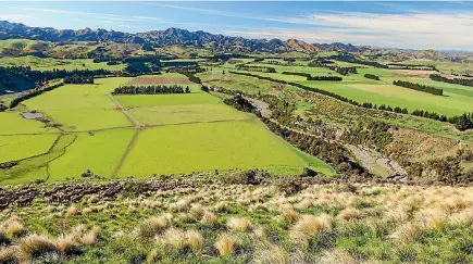  ??  ?? The 1290 hectare farm Stone Jug is one of the largest deer farms in Canterbury, supporting about 11,500 stock units.