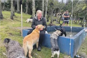  ?? JOANNE NAISH/THE PRESS ?? Katie and Dean Shannon with several dogs at their boarding kennels.