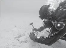  ?? OCEAN NETWORKS CANADA ?? A diver checks out the waters off Cambridge Bay, Nunavut. Two dives will be broadcast live from the site Aug. 27.