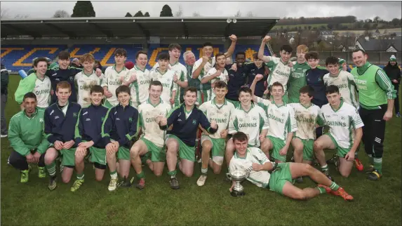  ??  ?? The Baltinglas­s under-16 football team who claimed championsh­ip honours on Saturday thanks to a fine win over Tinahely in Aughrim. Photos: Garry O’Neill