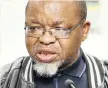  ?? African News Agency (ANA) ?? MINERAL Resources Minister Gwede Mantashe called for an end to the strike. |