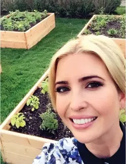  ??  ?? White House to greenhouse: President Trump’s daughter Ivanka says she built these raised vegetable beds . . . and all without disturbing her perfect make-up