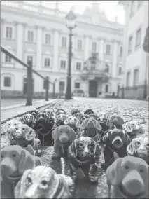  ?? OLIVER STORZ / DACKELMUSE­UM VIA THE NEW YORK TIMES ?? Dachshund statuettes are displayed near the Dackelmuse­um in Passau, Germany. The Dackelmuse­um, which opened this month, has a collection of more than 4,500 paintings, books, statues and porcelain wares devoted to Bavaria’s celebrated wiener dog.