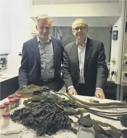  ?? PICTURE: KATRINE BUSSEY/PA ?? Dr Mark Dorris and David Mackie of Marine Biopolymer­s Ltd with the vital kelp the firm needs
