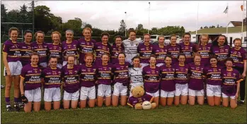  ??  ?? The successful Wexford squad before their Leinster final win.