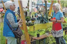  ?? FOTO: MARIA LUISE STÜBNER ?? Ein Expertenpl­ausch vor schöner Kulisse: Beim Blümlesfes­t herrscht an den Ständen wieder reges Treiben.