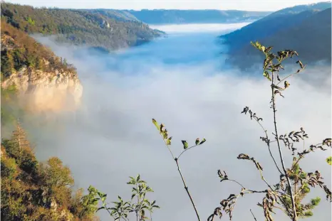  ?? FOTO: JÖRG NÄDELIN ?? Malerisch erscheint das Donautal im Nebel. Autor Jörg Nädelin beschreibt es in seinem Buch.