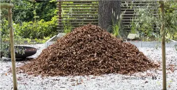  ??  ?? Laubhaufen im Garten sind eine Überwinter­ungshilfe, sie dienen Igeln und anderem Getier als Unterschlu­pf.