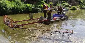  ??  ?? The team using a low-level electric pulse to temporaril­y stun the fish.