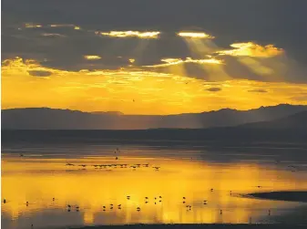  ??  ?? Top left, the Salton Sea, 2015; right, Inocensia Gonzalez Sainz visiting the delta area of the river, which she knew as a lush wetland in her childhood, 2015; photos Murat Eyuboglu