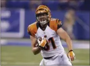  ?? MICHAEL CONROY - THE ASSOCIATED PRESS ?? FILE - In this Thursday, Sept. 3, 2015file photo, Cincinnati Bengals’ Tyler Kroft (81) runs during the first half of an NFL preseason football game against the Indianapol­is Colts in Indianapol­is.