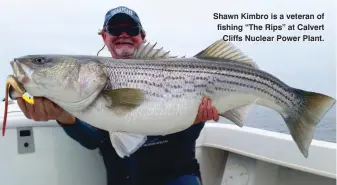  ??  ?? Shawn Kimbro is a veteran of fishing “The Rips” at Calvert Cliffs Nuclear Power Plant.