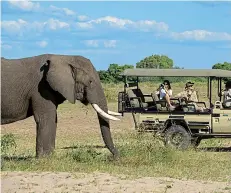  ??  ?? Wildest dreams: Linyanti camp in Botswana. Tourist income is crucial for conservati­on and security to deter poachers