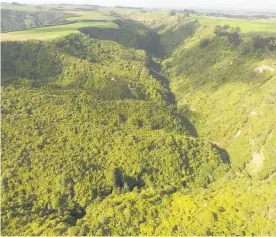  ?? Photo / Supplied ?? The 125ha covenanted Queen Elizabeth II block runs along a steep-sided gully.