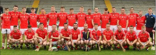  ??  ?? St. Mogue’s (Fethard), who went one better than 2016 when capturing the Top Oil Intermedia­te ‘A’ hurling championsh­ip crown.