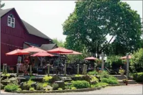  ?? PHOTO BY EMILY RYAN ?? Sip rosé on the patio at Chaddsford Winery.