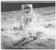  ??  ?? ■ Celebrate the 50th anniversar­y of the historic Apollo 11 lunar landing with the Orlando Sentinel’s new book, “Apollo 50.” Order today and get $10 off the retail price. Go to OrlandoSen­tinel.com/ apollo50