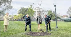  ?? AP ?? First Lady Melania Trump, second from right, and Brigitte Macron watch as President Donald Trump and French President Emmanuel Macron plant trees in April.