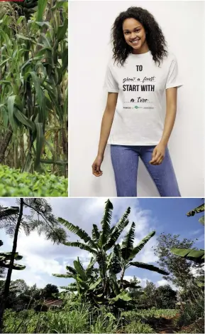  ??  ?? In alto, la T-shirt di Pinko in vendita a 55 euro. n.b. Aprile è il mese dell’ecologia: l’11 è stata la Giornata nazionale del Mare indetta in Italia dalla fondazione One Ocean; il 22 è stata la volta dell’Earth Day.