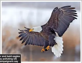  ?? ?? ON THE RUN: Deer and bald eagles are scared off by polluting US Bitcoin mines, campaigner­s say
