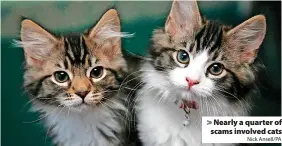  ?? Nick Ansell/PA ?? > Nearly a quarter of scams involved cats