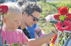  ?? RYAN ROSS/THE GUARDIAN ?? Helena Aunger gets ready to place a flower on the ghost bike left as a memorial at the site of her grandmothe­r’s death in 2012. Shown next to her is one of Sovis’s sons, Edmund.