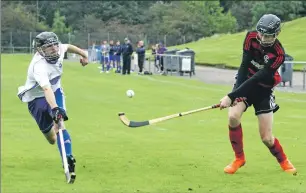  ?? Photograph: Kevin McGlynn. ?? Oban Camanachd’s Daniel MacCuish fires in a shot during the Premiershi­p match against Mid Argyll at Mossfield Stadium last Saturday.