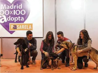  ?? ?? 100x100 Adopta es un espacio de mil metros cuadrados dedicado en exclusiva a la adopción. Incluirá una pasarela para que los animales sin hogar puedan darse a conocer entre el público.