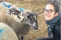  ??  ?? Dr Lucille Bellegarde led the study into sheep facial expression­s.