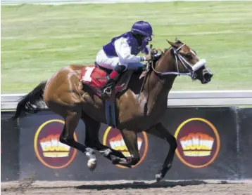  ?? (Photos: Observer file) ?? Abigail Able on her first winner England’s Rose