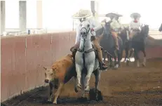  ??  ?? Representa­n. Asociación Charros de Saltillo califica al Nacional de Charrería 2019.