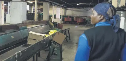  ??  ?? OLD HAND. Martha Moletse, who has been on the farm for 27 years, walks through the packaging section.