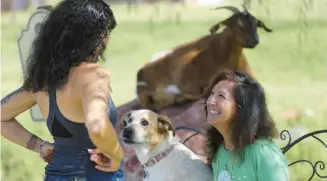  ?? ?? Joanne Cacciatore, left, talks with Suzy Elghanayan, as dog Perseveran­ce, aka“percy,”watches.