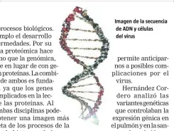  ??  ?? Imagen de la secuencia de ADN y células del virus