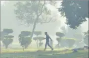  ?? ARVIND YADAV/HT PHOTO ?? A misty morning at Shanti Van in New Delhi.