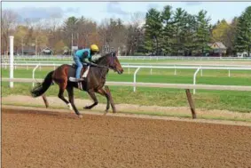  ?? PHOTOS BY LAUREN HALLIGAN — LHALLIGAN@DIGITALFIR­STMEDIA.COM ?? A horse training on the historic Oklahoma Training Track on Monday, the first day of training before the upcoming 2017 Saratoga Racing Meet.